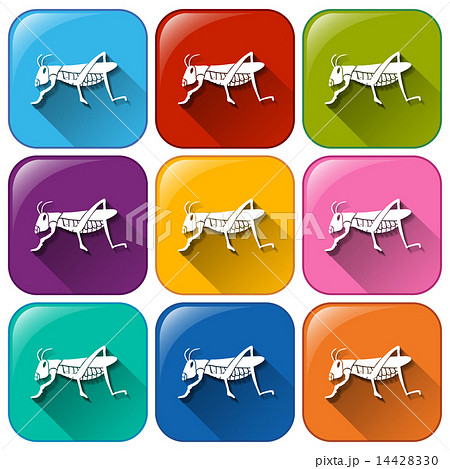 Insect icons Insect icons 14428330