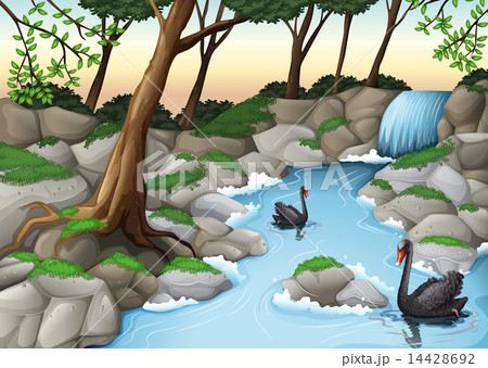 A forest with swans A forest with swans 14428692