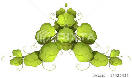 A green leafy plant 14429432