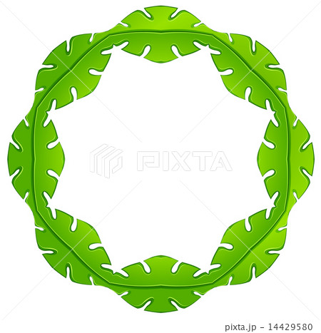 A leafy frame 14429580