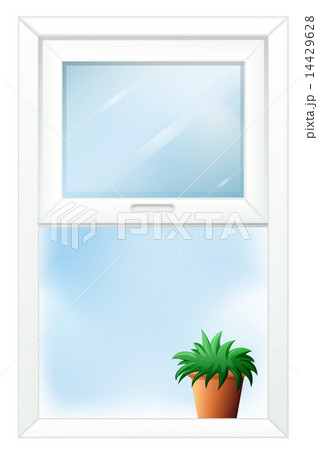 A window with a plant at the bottom A window with a plant at the bottom 14429628