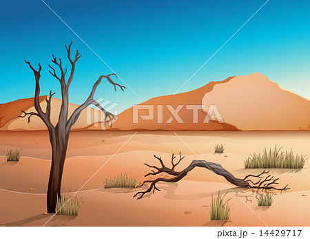 Ecosystem Desertのイラスト素材 14429717 Pixta