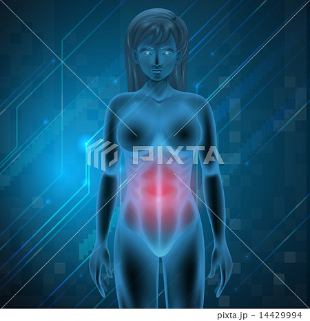A woman experiencing pain in the stomach A woman experiencing pain in the stomach 14429994