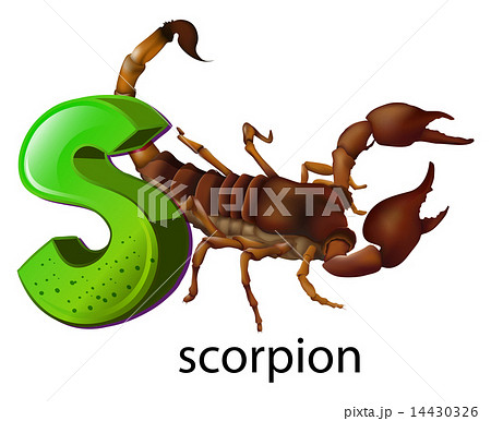 A letter S A letter S 14430326