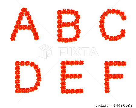 花文字 ABC 花文字 ABC 14430638