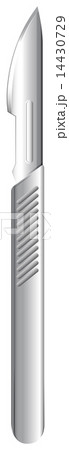 A scalpel 14430729