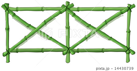 Green bamboo fence 14430739