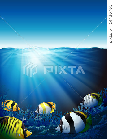 Fishes under the sea with sunlight 14430761