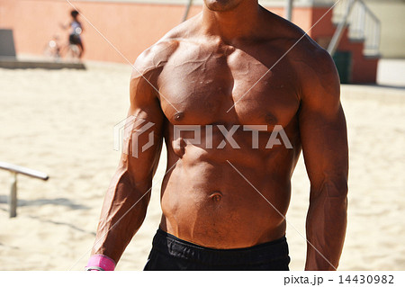 パフォーマー　マッスル　　筋肉　ベニスビーチ　 14430982