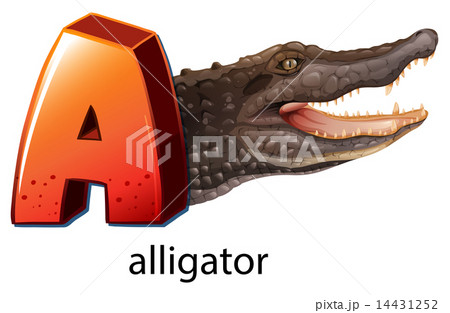 A letter A for alligator 14431252