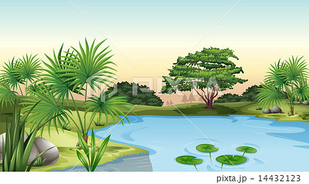 Green plants surrounding the pond Green plants surrounding the pond 14432123