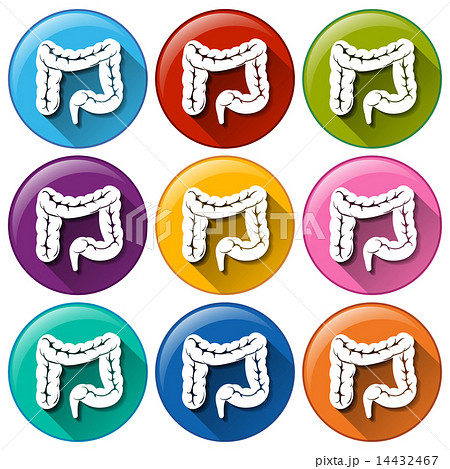 Organ icons 14432467