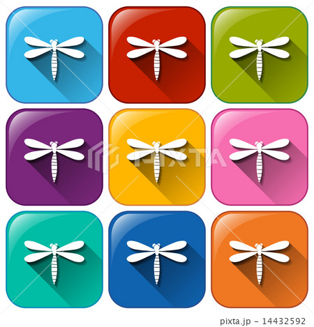 Buttons with dragonflies 14432592