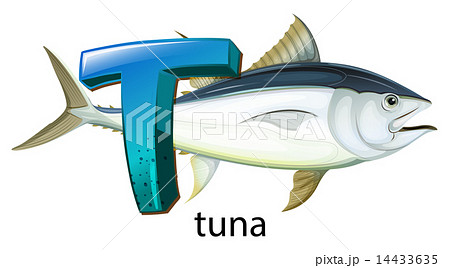 A letter T for tuna A letter T for tuna 14433635