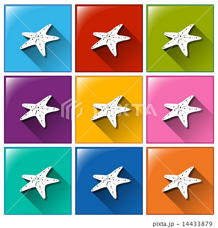 Buttons with starfish 14433879