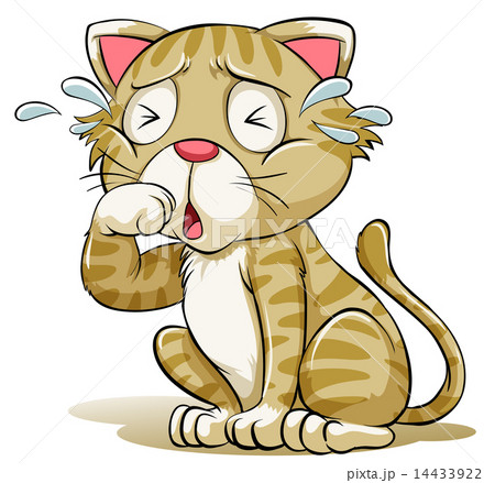 A crying cat 14433922