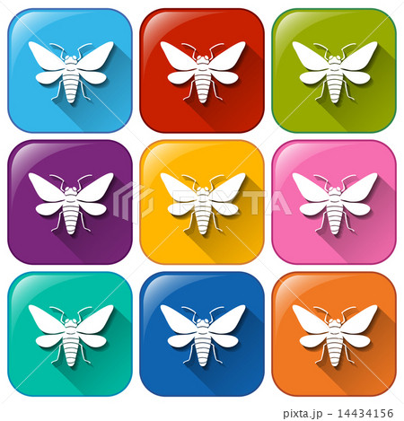 Icons with insects 14434156
