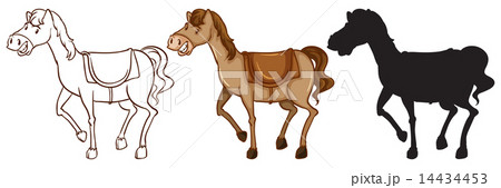 Three horses 14434453