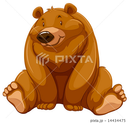 Fat brown bear Fat brown bear 14434475
