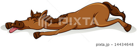 A tired horse 14434648