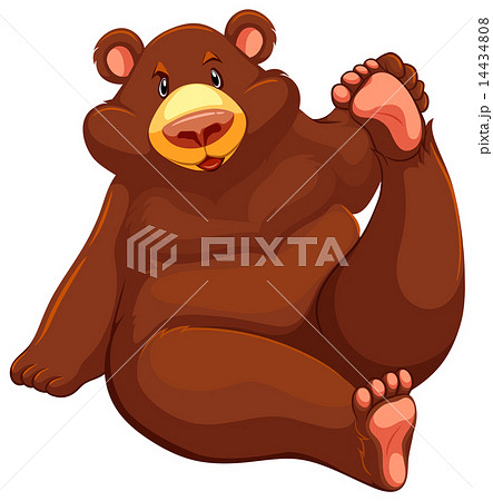 Brown bear sitting down 14434808