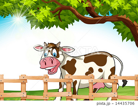 A cow smiling 14435706