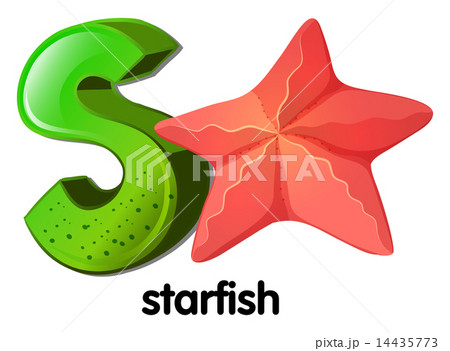 A letter S for starfish 14435773