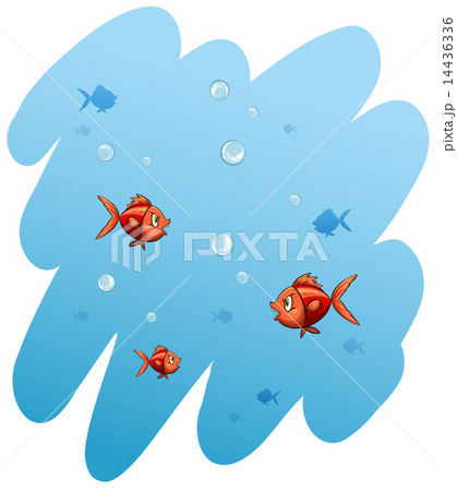 A school of fishes A school of fishes 14436336