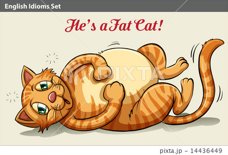 A Fat Catのイラスト素材