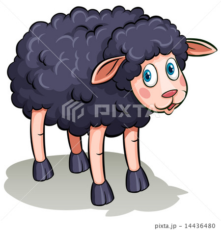 A black sheep A black sheep 14436480