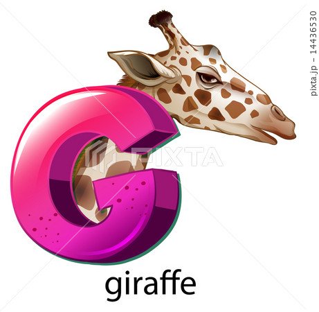 A letter G for giraffe 14436530