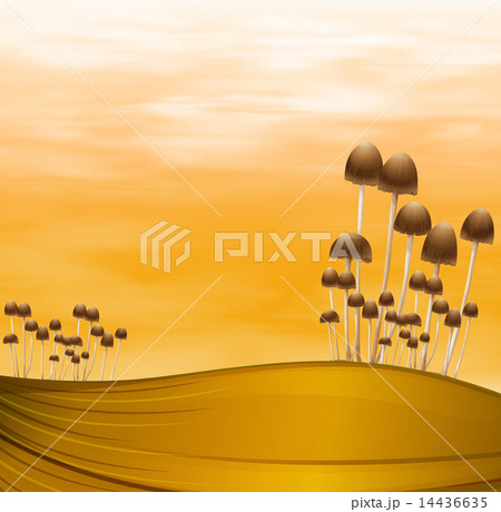 Mushroom plants Mushroom plants 14436635