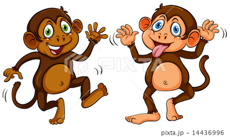 Two monkeys Two monkeys 14436996