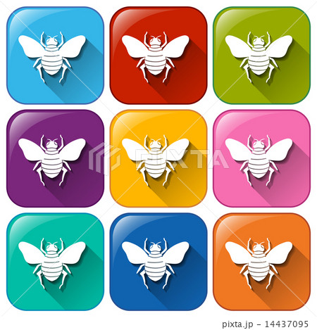 Colourful rounded buttons with insects 14437095