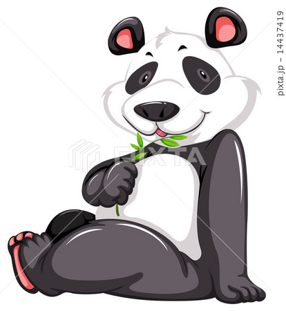 Cute panda bear Cute panda bear 14437419