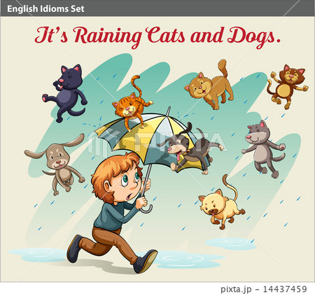 An idiom showing a rain with animals 14437459