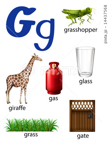 Things that start with the letter G 14437568