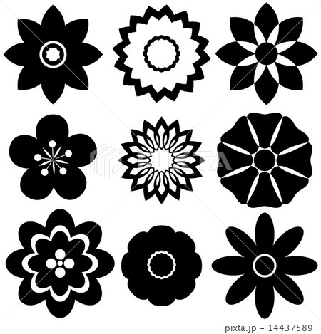 Group of floral templates Group of floral templates 14437589