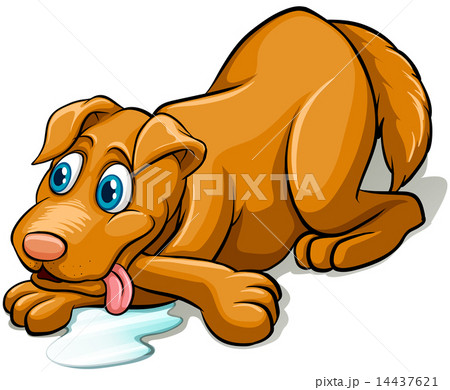 Tired dog panting 14437621