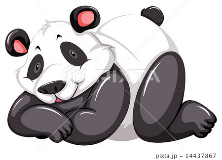 Adorable panda Adorable panda 14437867