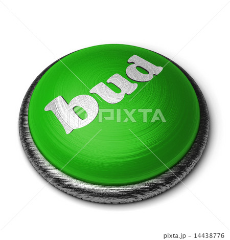 bud word on green button isolated on white 14438776
