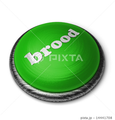 brood word on green button isolated on white 14441708