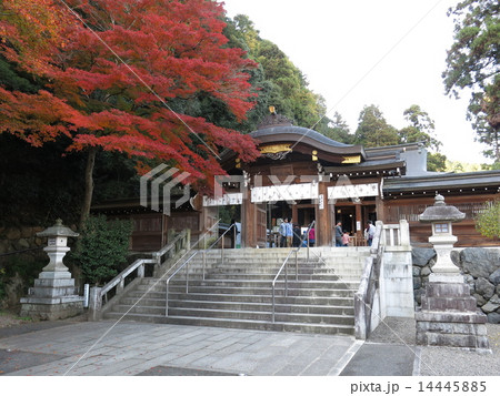 紅葉に彩られた秋の高麗神社 14445885