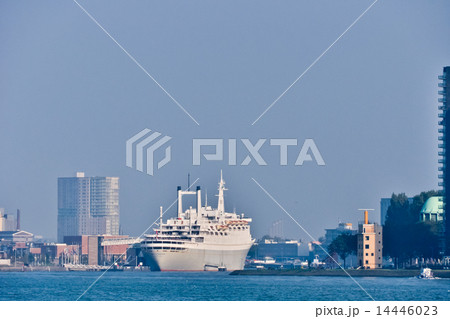Maas river  skyline. Rotterdam,  Netherlands 14446023