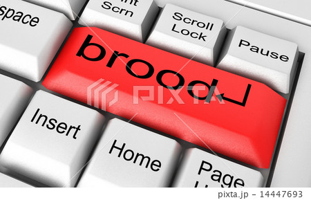 brood word on white keyboard 14447693