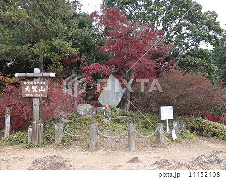 紅葉に彩られた秋の天覧山山頂 14452408
