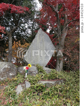 天覧山の山頂にある行幸記念碑 天覧山の山頂にある行幸記念碑 14452410