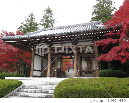紅葉に彩られた能仁寺の山門 紅葉に彩られた能仁寺の山門 14454439