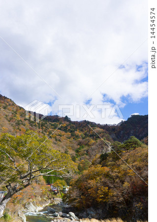 那須塩原 七ッ岩の吊橋からの景色 那須塩原 七ッ岩の吊橋からの景色 14454574