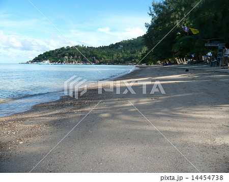 タイ・タオ島のビーチ 14454738